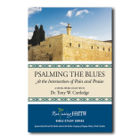 praisingtheblues-for nf