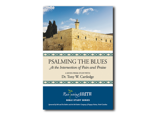 praisingtheblues-for nf praisingtheblues-for nf